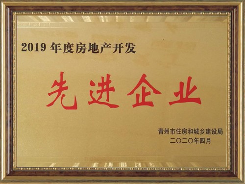 2019年度房地產開發(fā)先 進企業(yè)
